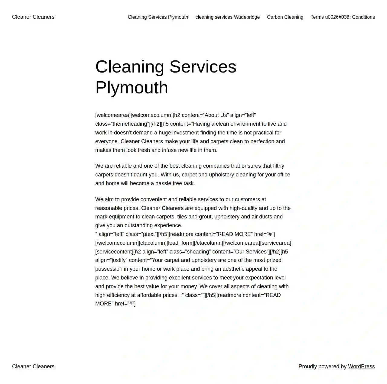 Cleaner Cleaners