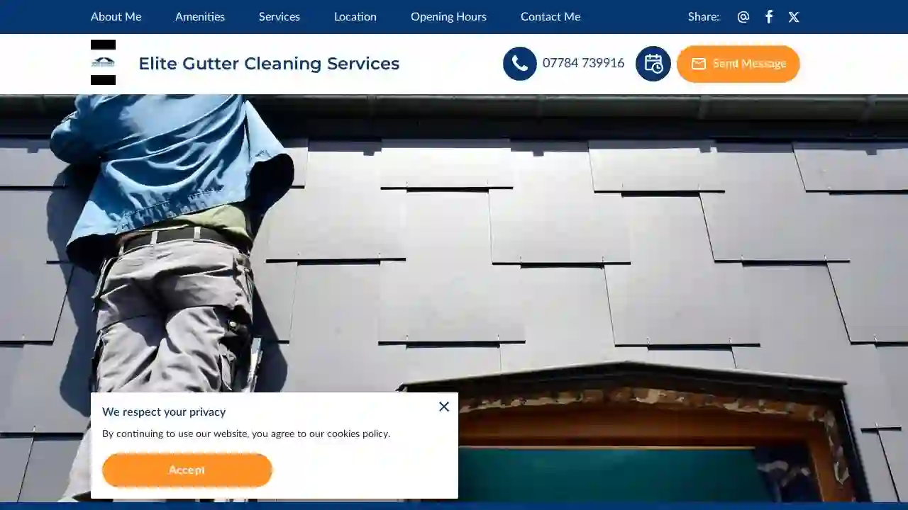 Elite Gutter Cleaning Services