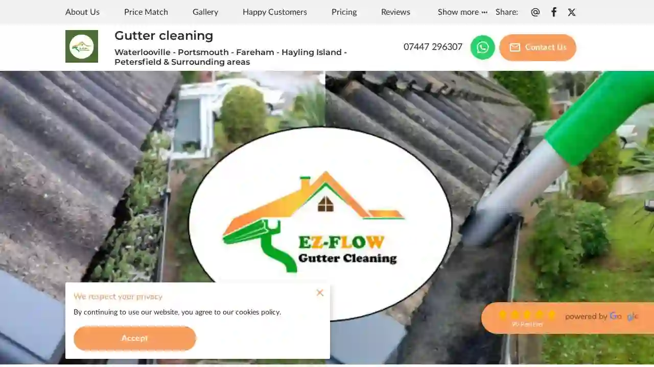 Ezflow Gutter Cleaning