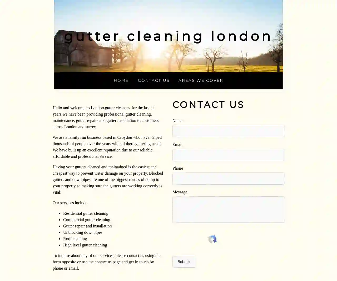 gutter cleaning london