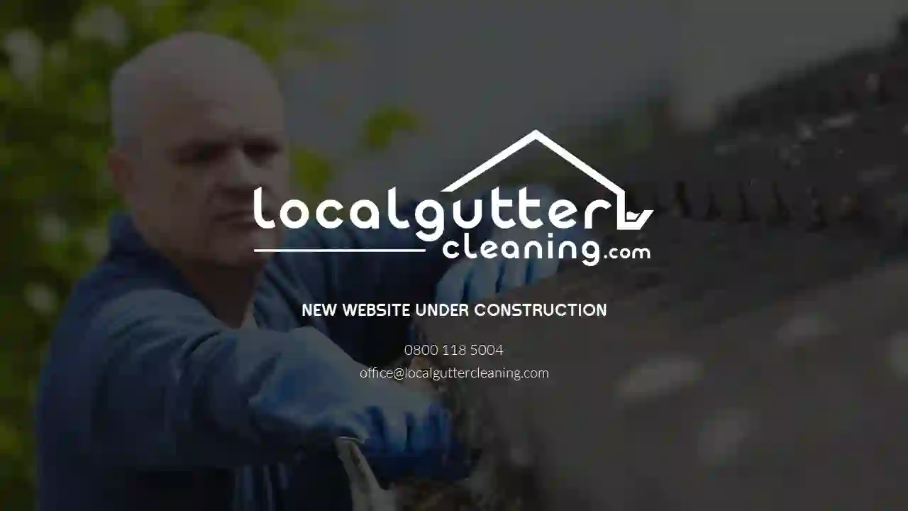 Local Gutter Cleaning