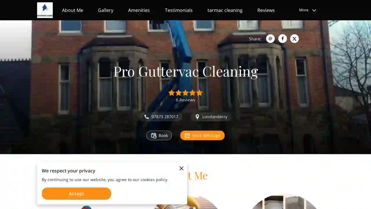 Pro Guttervac Cleaning