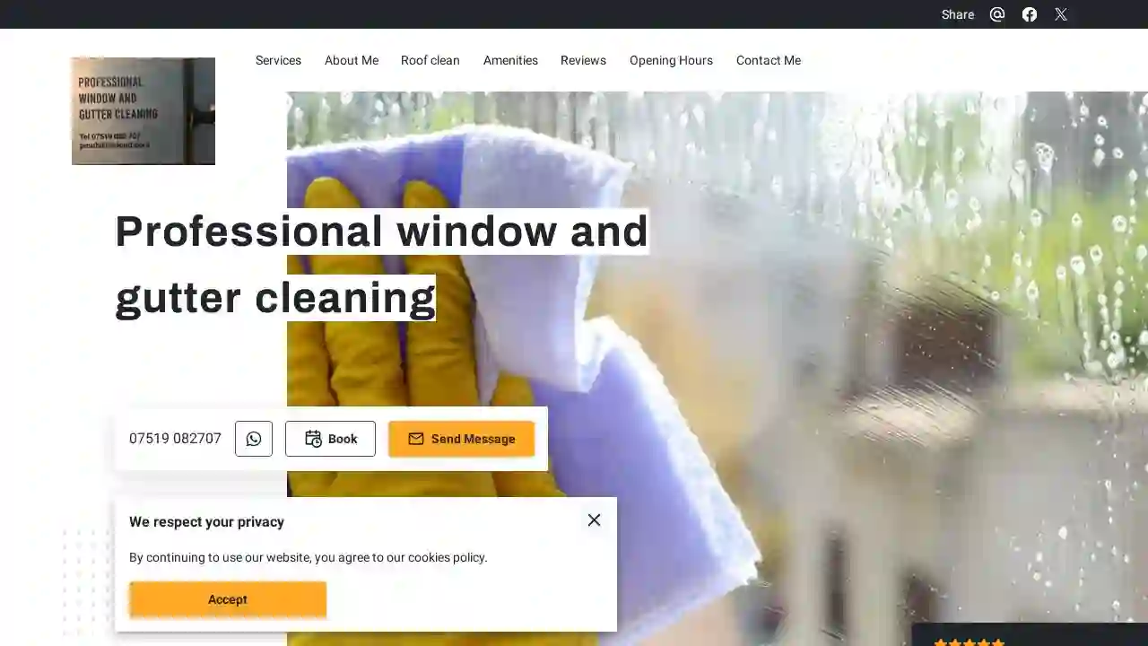 Professional window and gutter cleaning