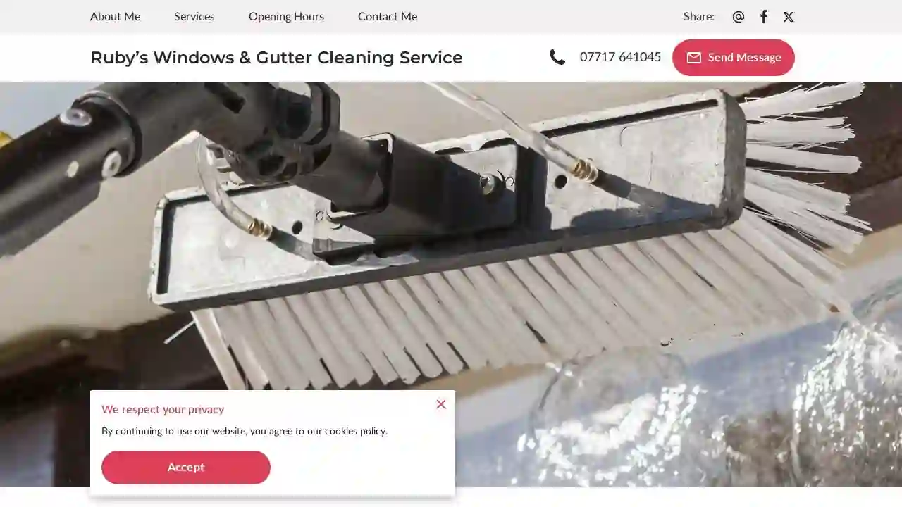 Ruby’s Windows & Gutter Cleaning Service