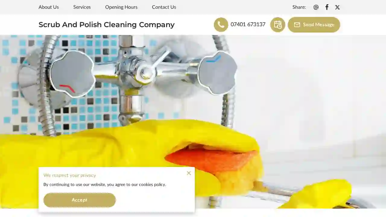 Scrub And Polish Cleaning Company