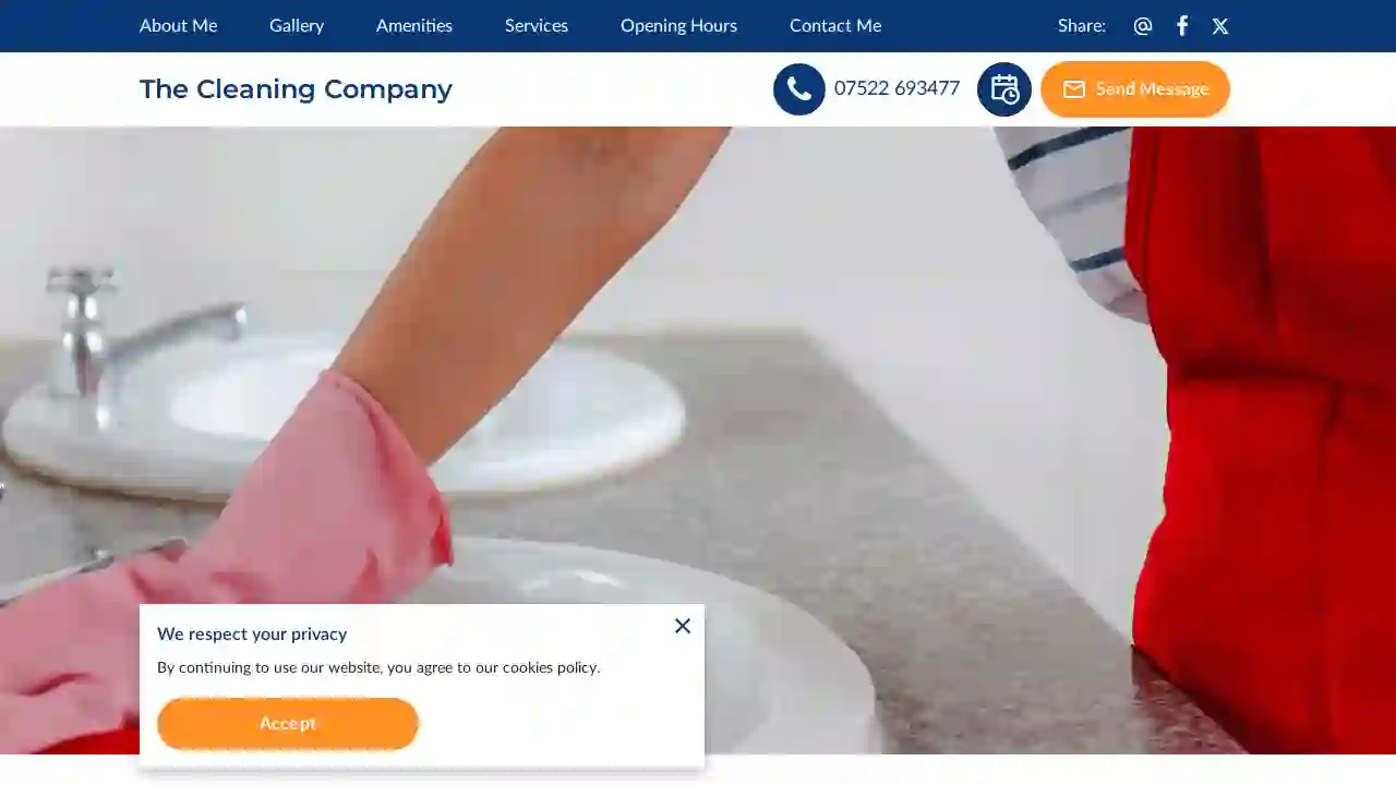 The Cleaning Company