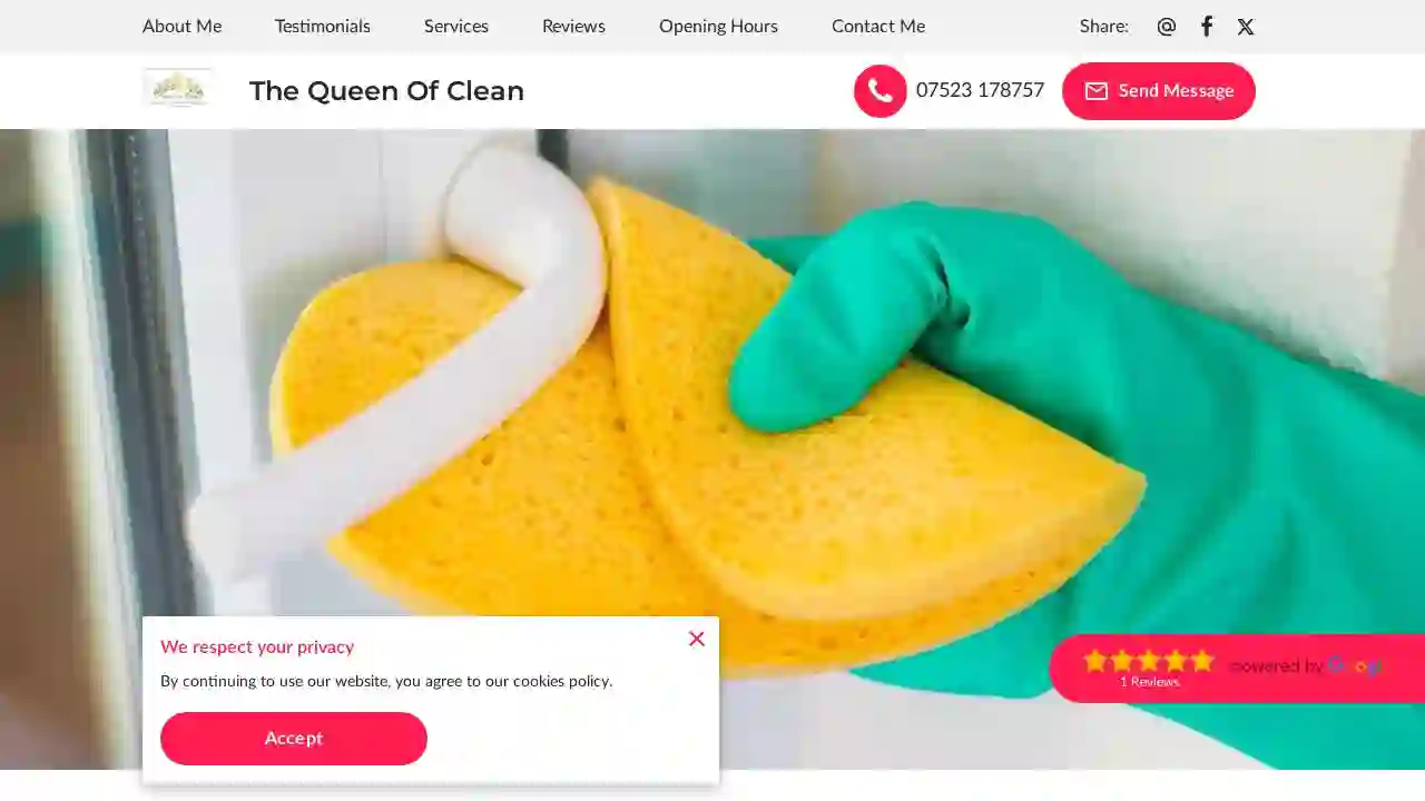 The Queen Of Clean