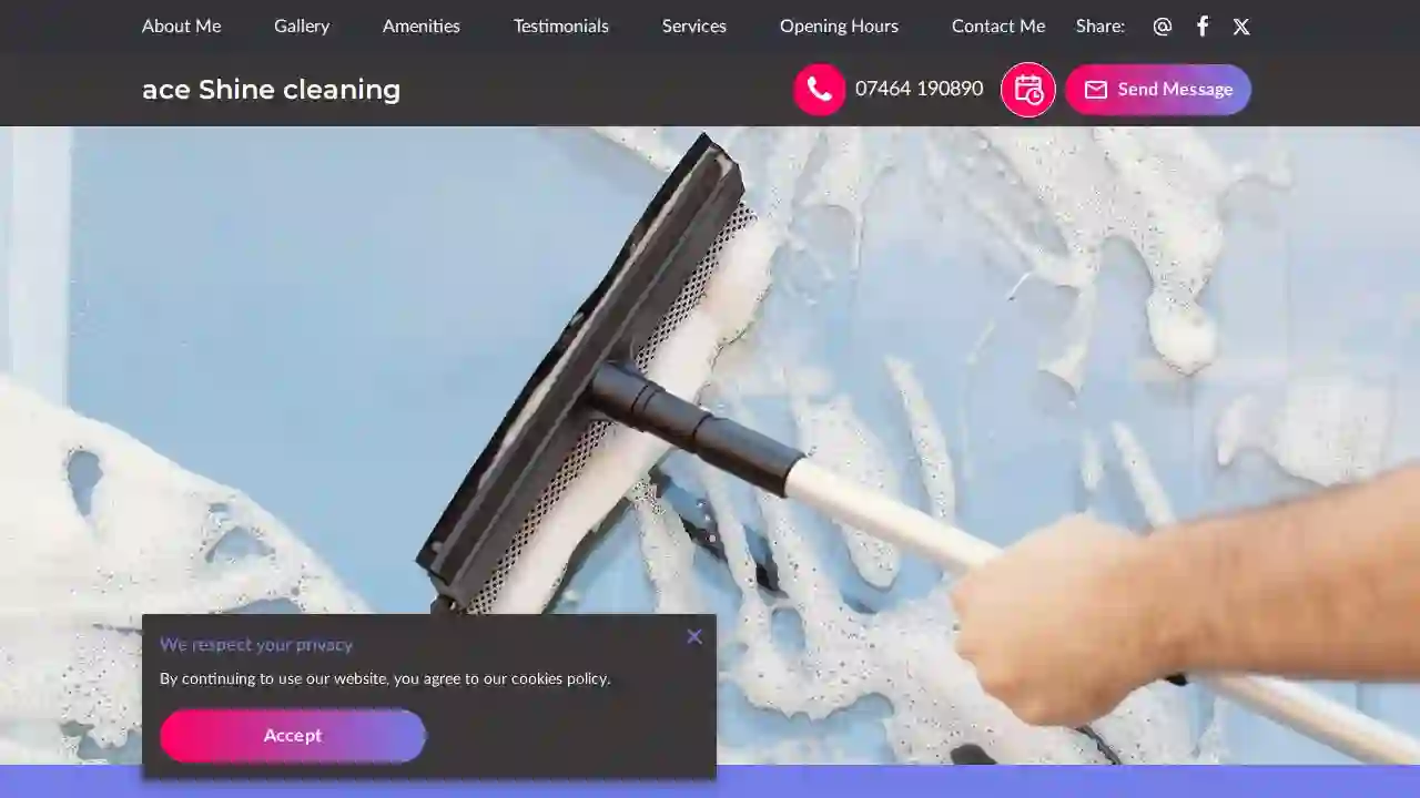 Ace Gutter & carpet Cleaning