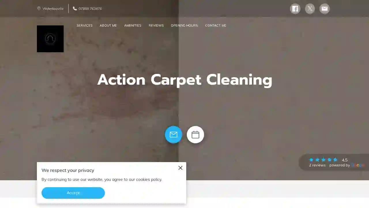 Action Carpet Cleaning