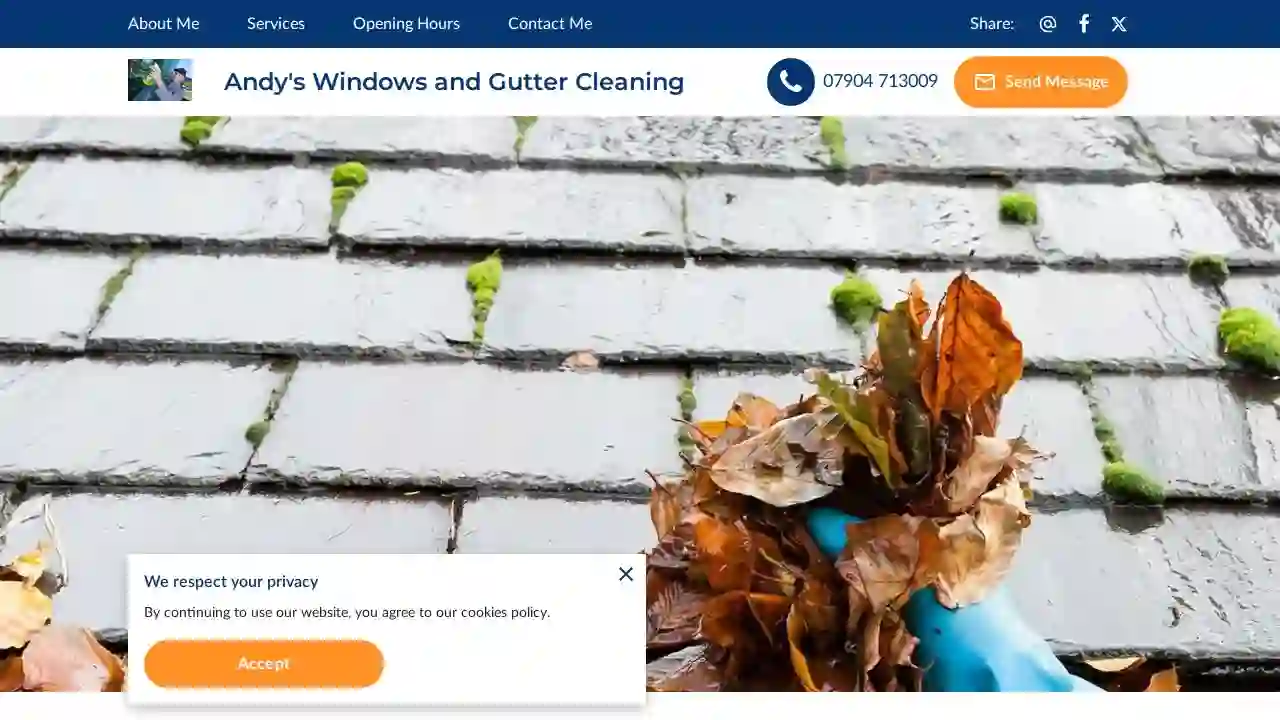 Andy's Windows and Gutter Cleaning