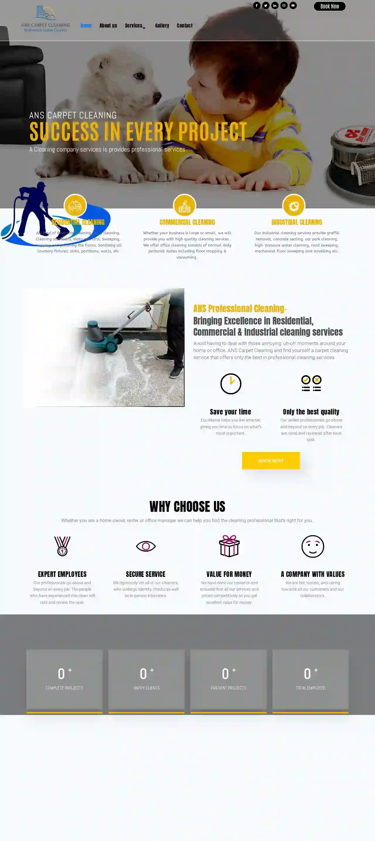 ANS PROFESSIONAL CLEANING SERVICE