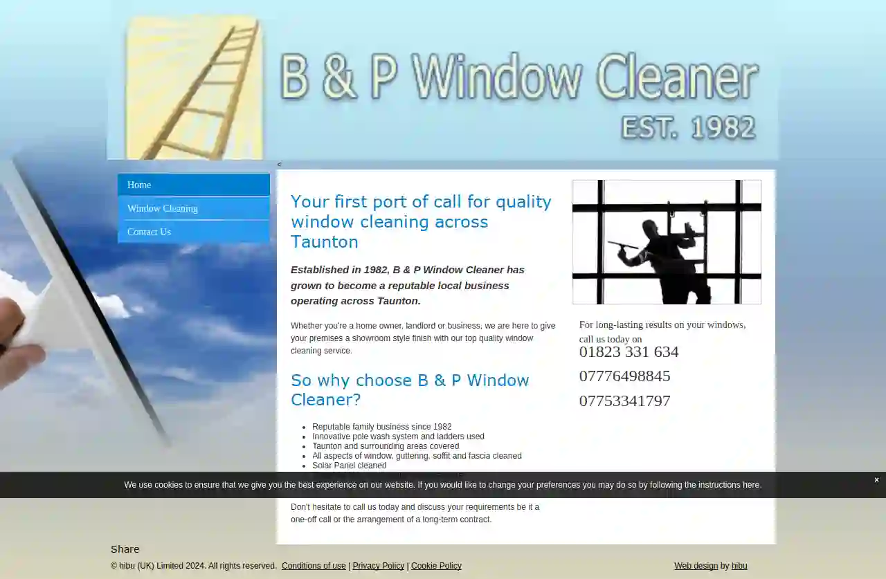 B & P Window Cleaner