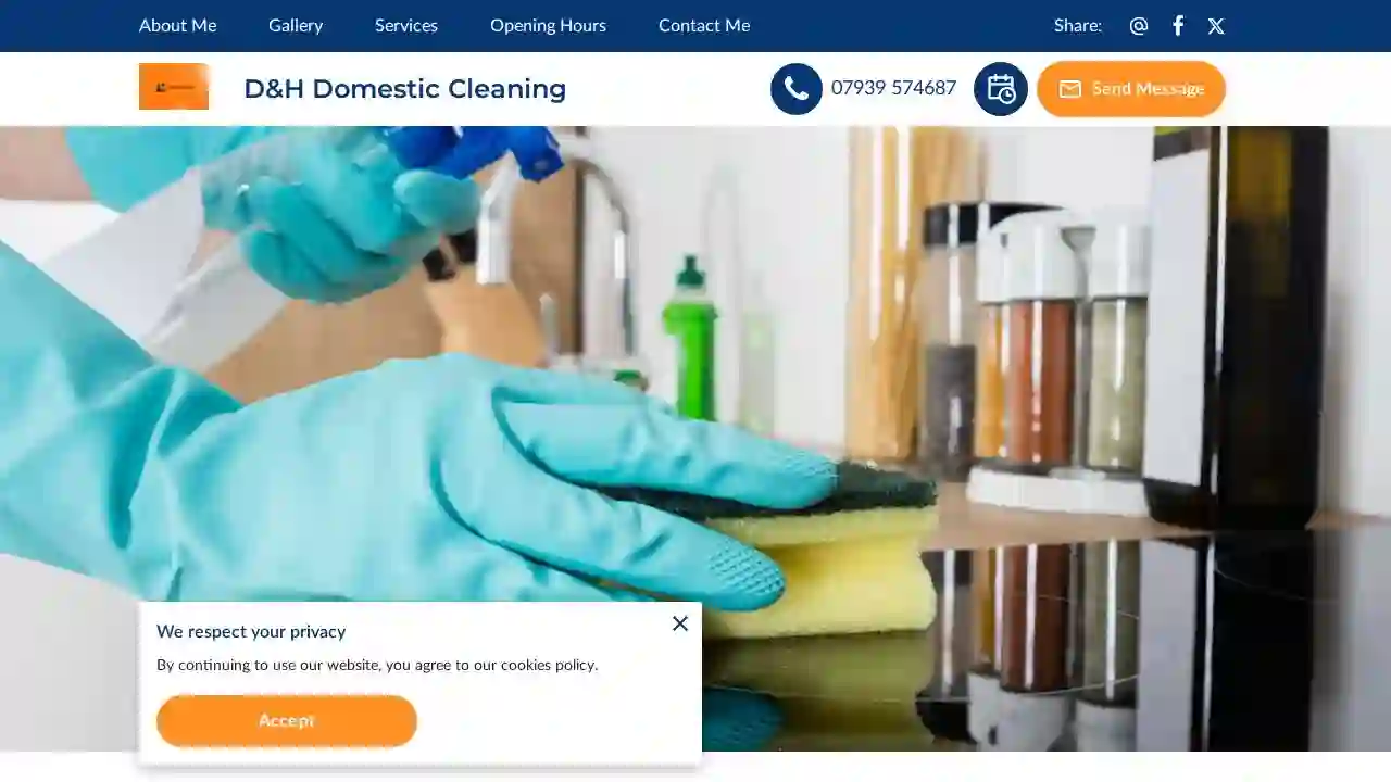 D&H Domestic Cleaning