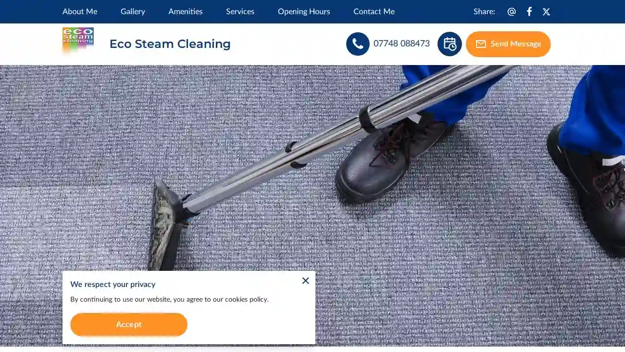 Eco Steam Cleaning