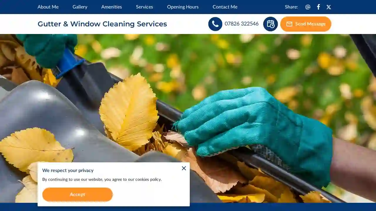 Gutter & Window Cleaning Services