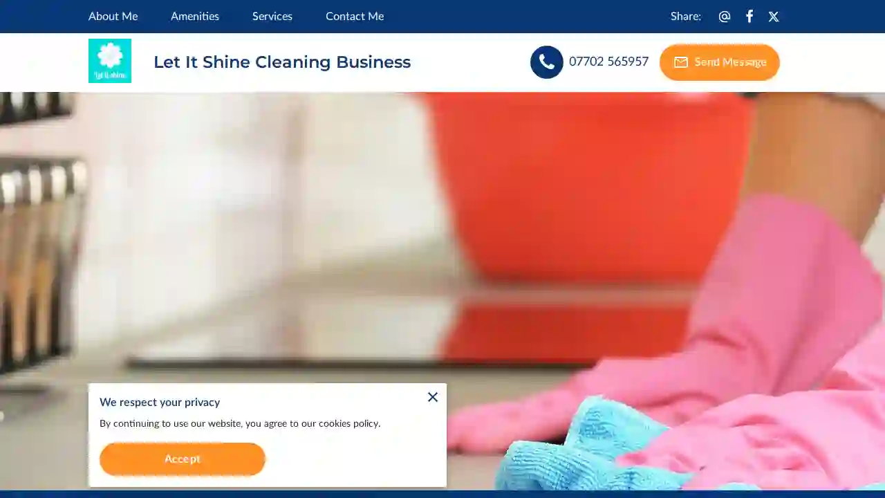 Let It Shine Cleaning Business