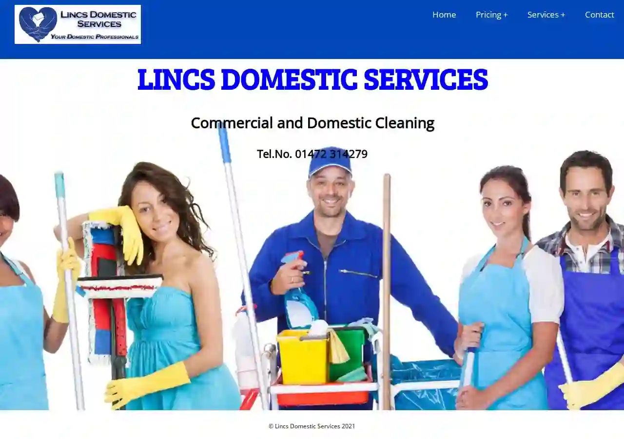 Lincs Domestic Services