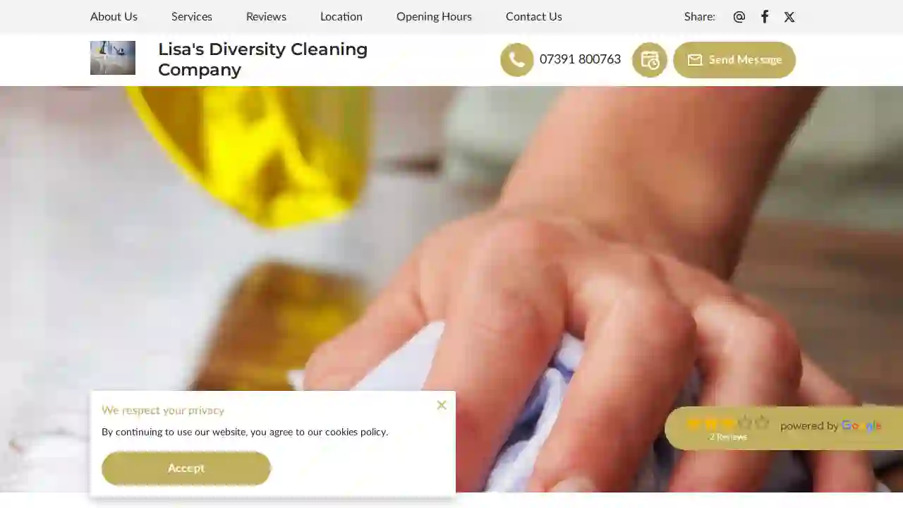 Lisa's Diversity Cleaning Company