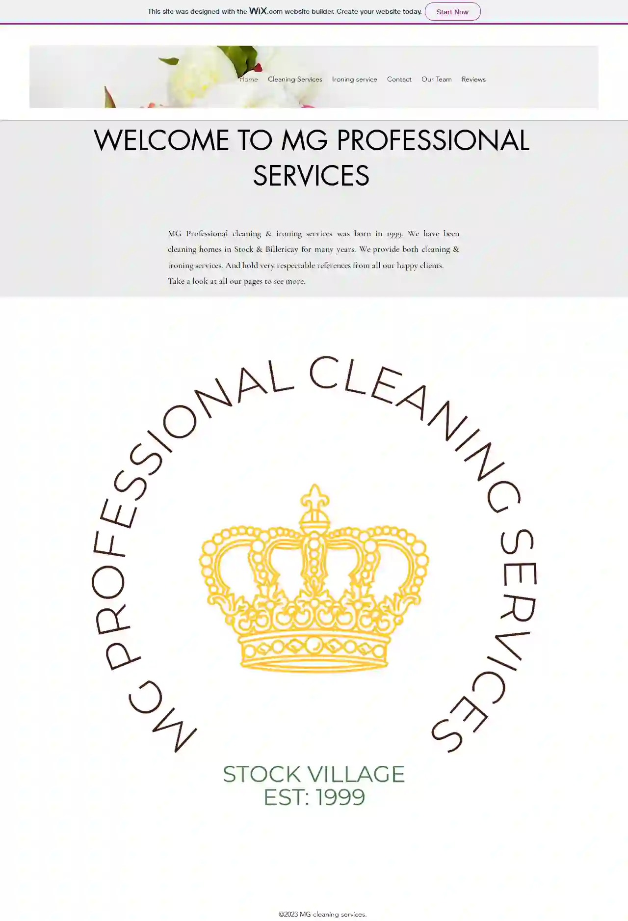 MG Professional Cleaning & Ironing Services Billericay & Stock