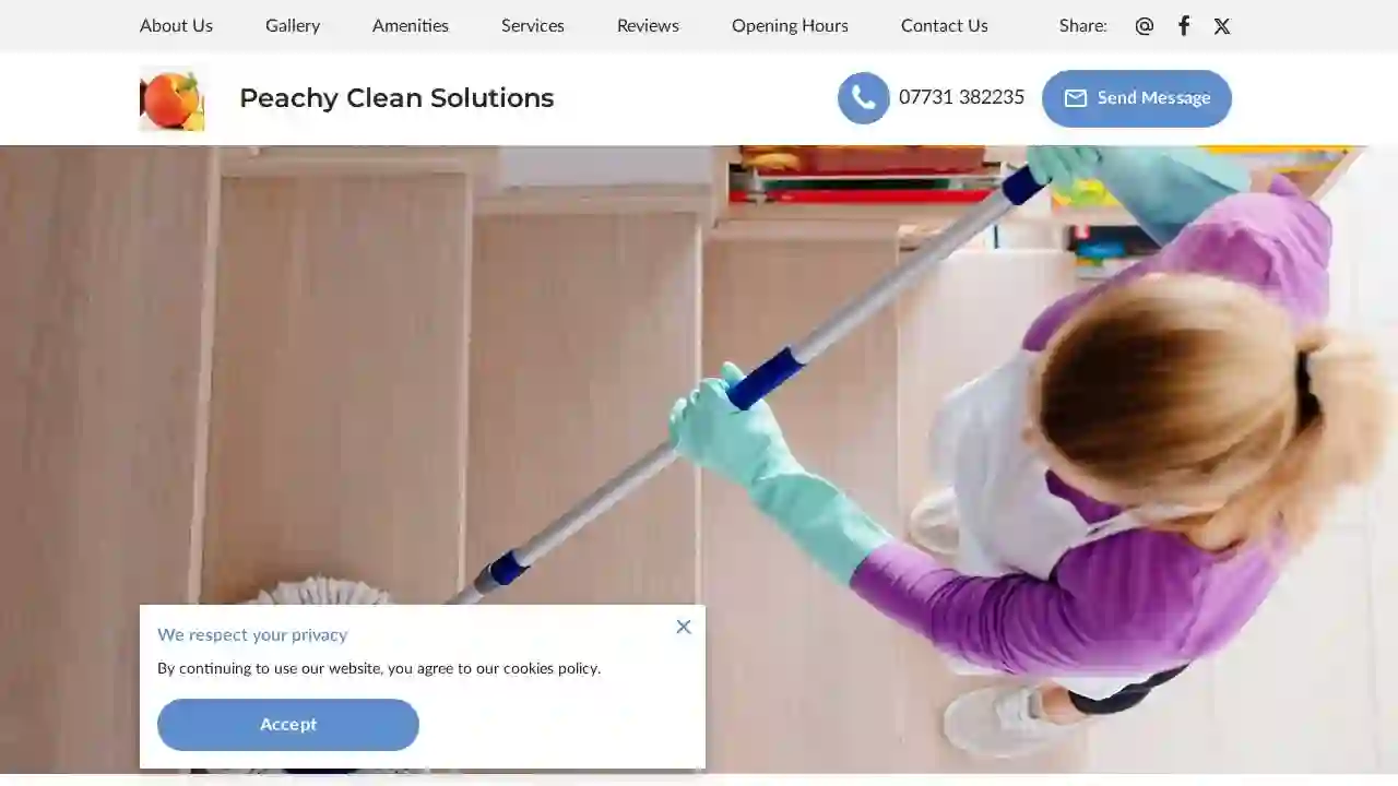 Peachy Clean Solutions