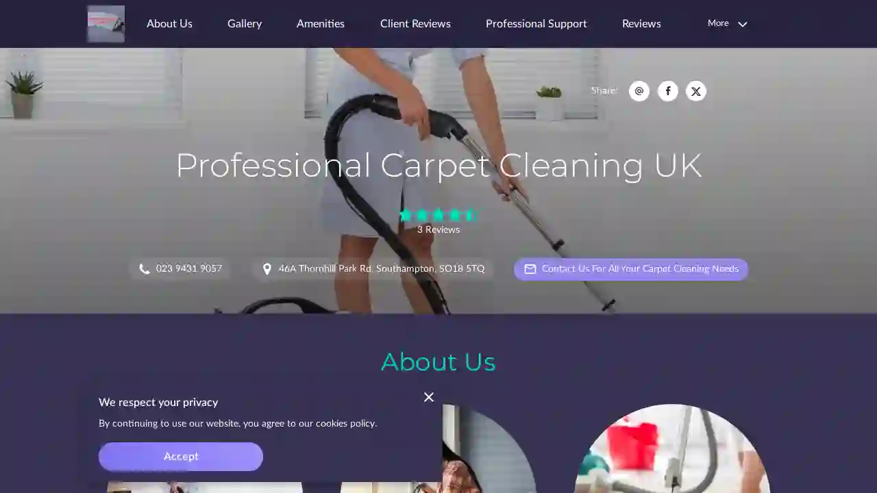 Professional Carpet Cleaning UK