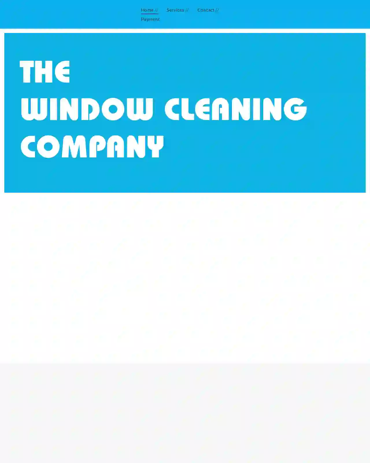 The Window Cleaning Company