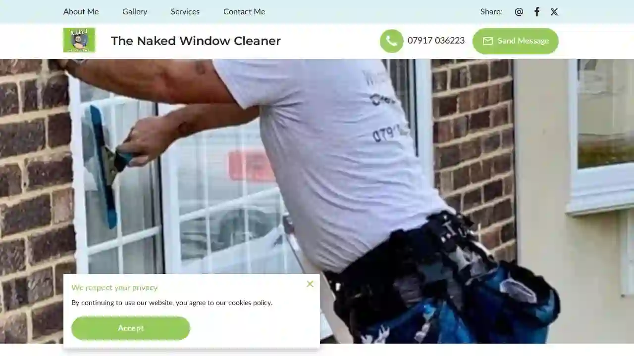 The Naked Window Cleaner