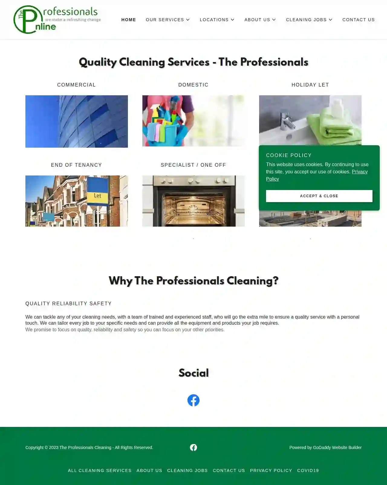 The Professionals Cleaning Company