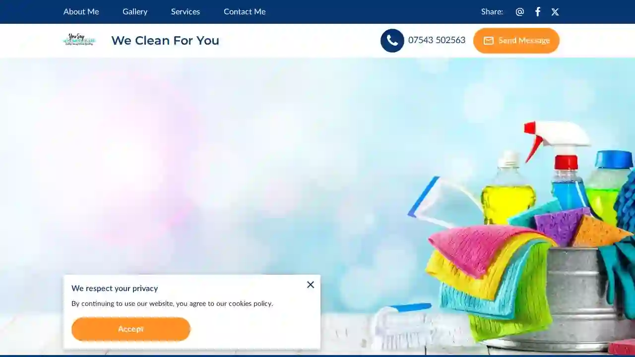 We Clean For You